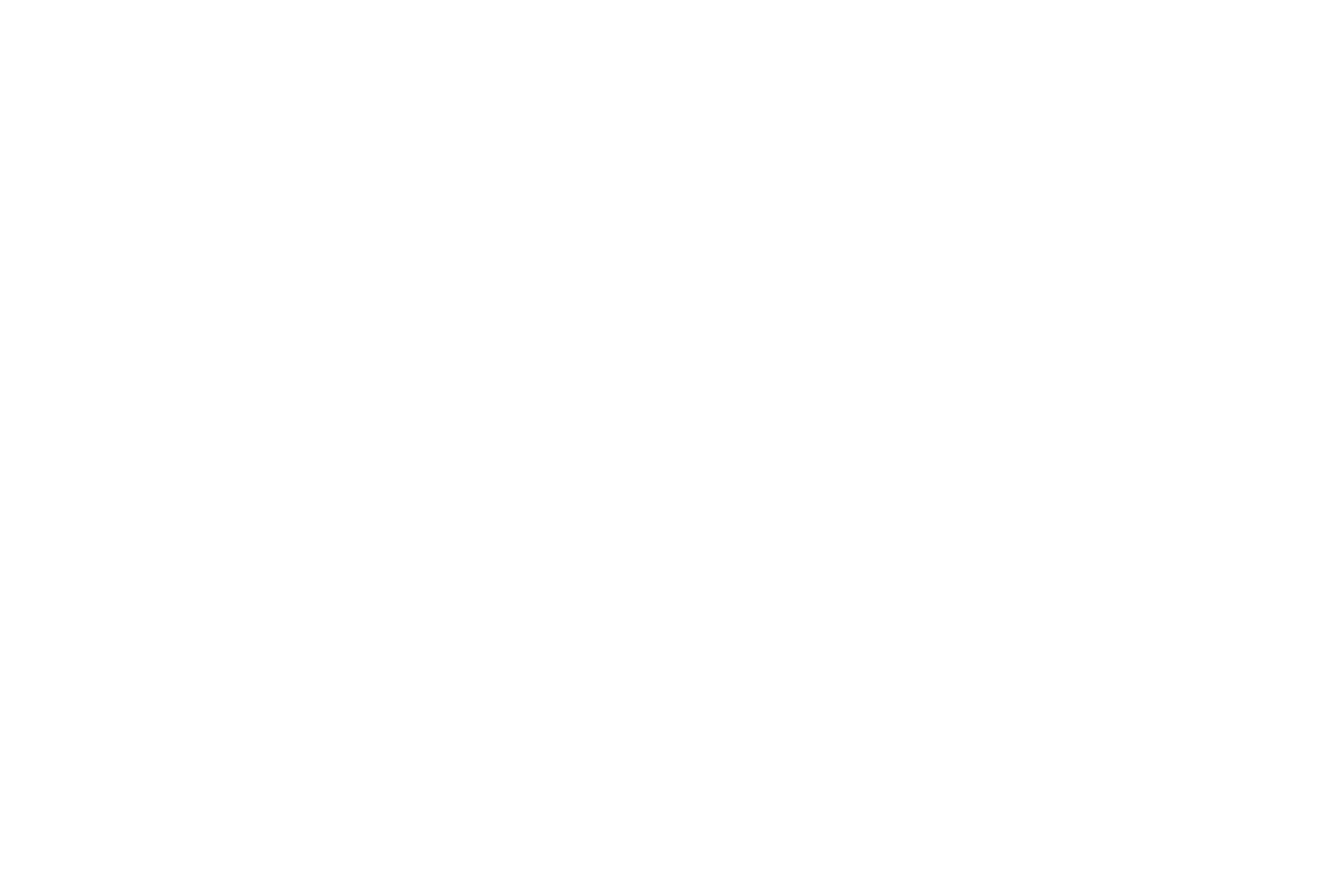Bonita Pools - Logo White Transparent